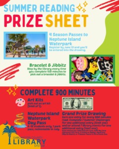 Summer Reading and Learning Program 2025 2